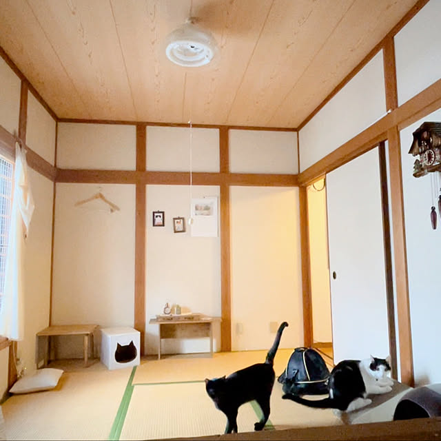 猫の部屋/和室が好き/和室のある家/朝の１枚/一軒家...などのインテリア実例 - 2021-07-02 19:53:54