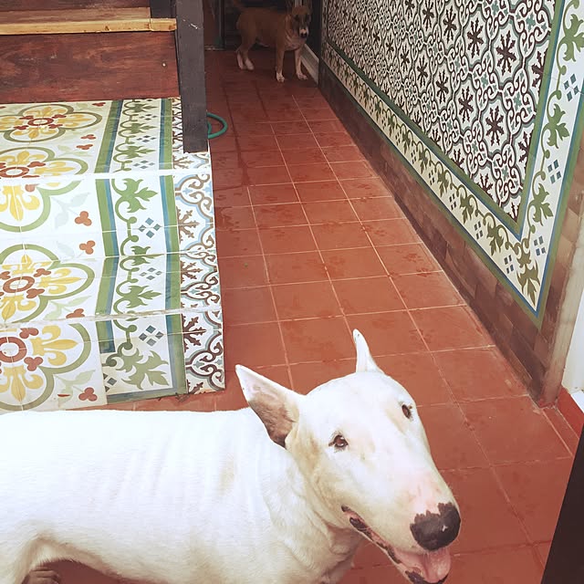 Thammaratさんの実例写真