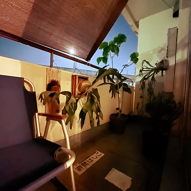 棚/レトロ/カフェ風/観葉植物/照明...などのインテリア実例 - 2023-08-27 21:14:26