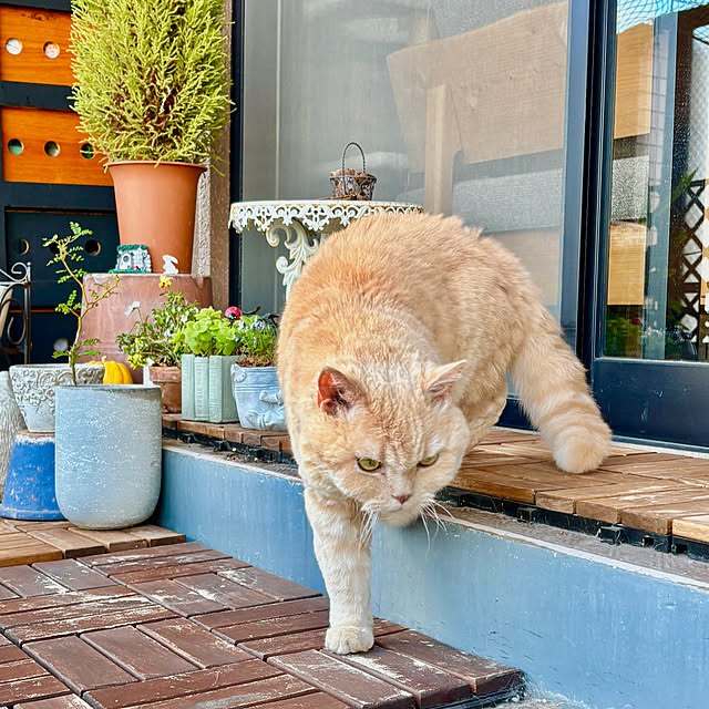 naokoさんの部屋