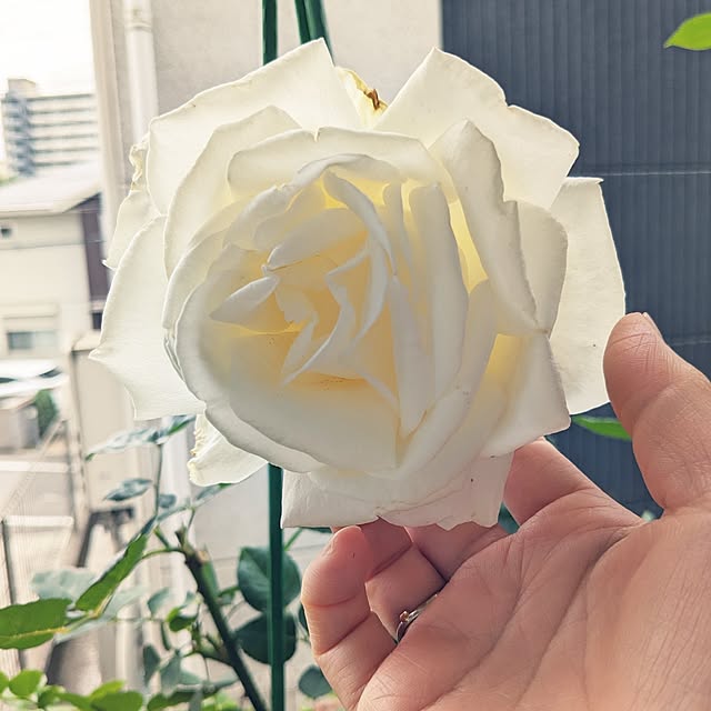 kazuさんの部屋