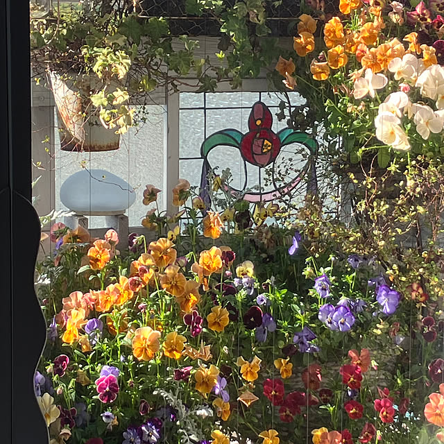 kirara1027さんの実例写真