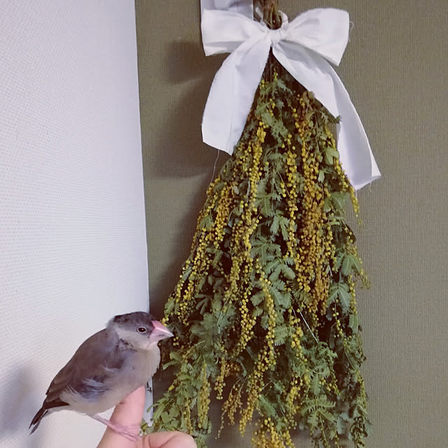 bambiさんの実例写真