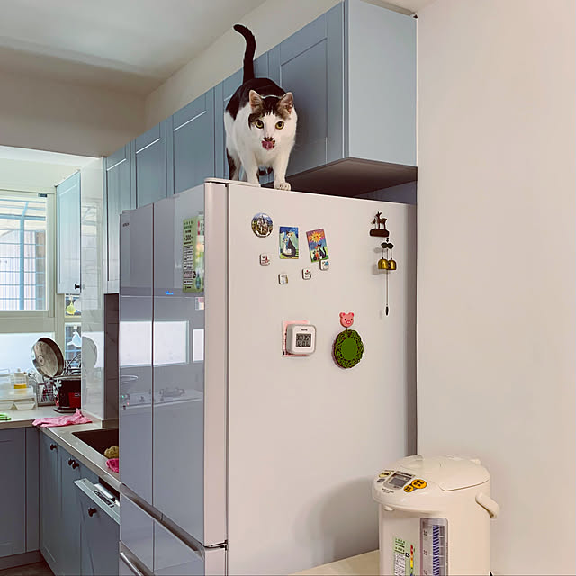 pcu110さんの実例写真
