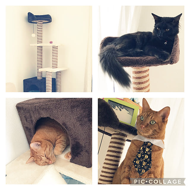 ochappuさんの実例写真