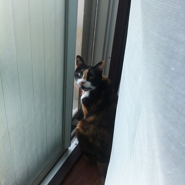 Rieさんの実例写真