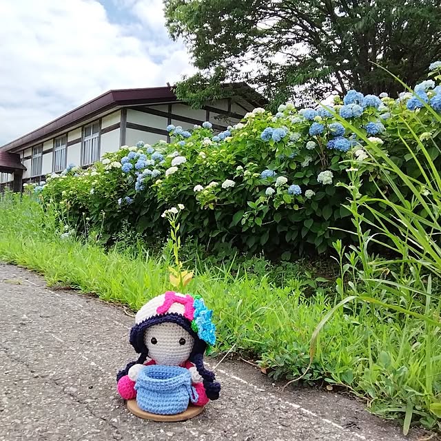 fujiyayuさんの部屋