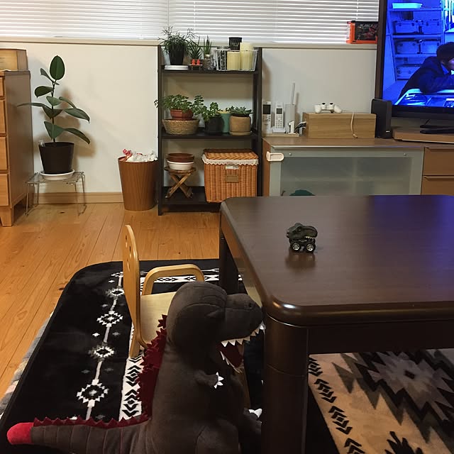 Akiさんの実例写真