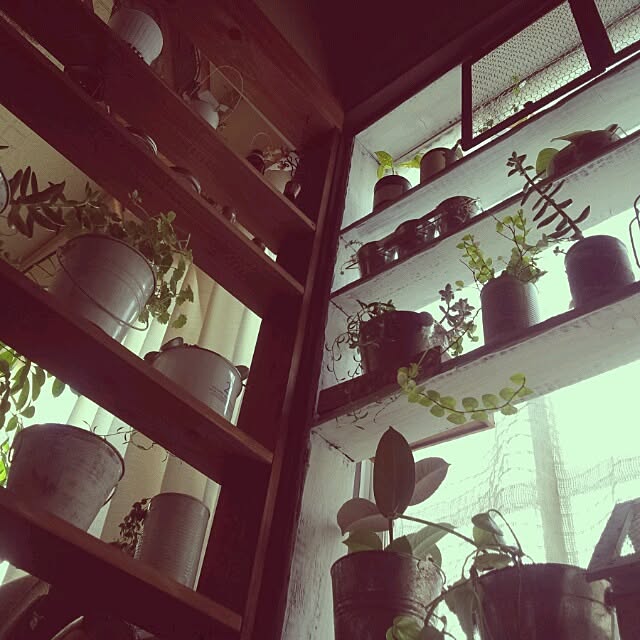 mucc08さんの実例写真