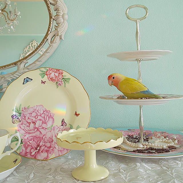 twinkle-butterfly38さんの実例写真