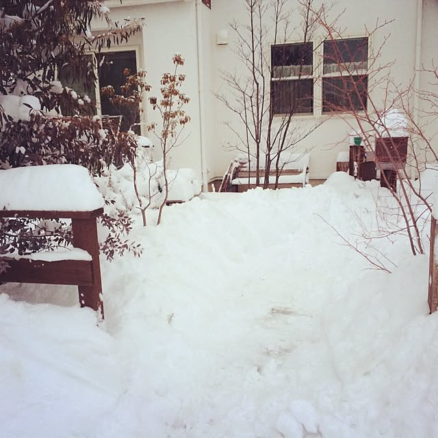 yuki.mrさんの実例写真