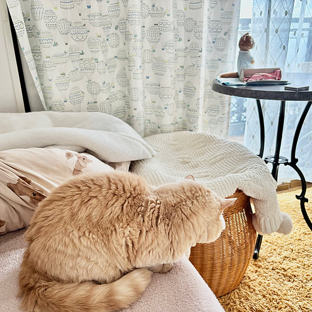 naokoさんの部屋