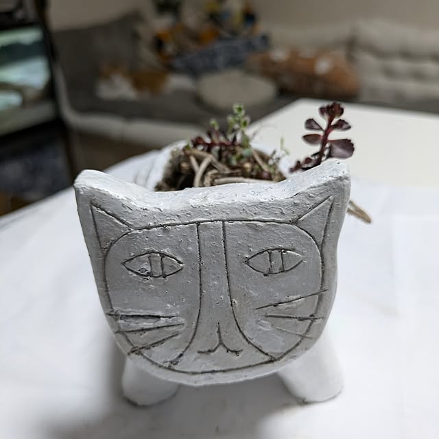 mori_6_12さんの実例写真