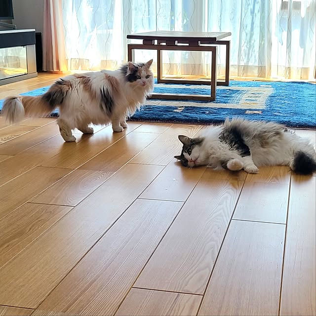 akiko6193さんの部屋