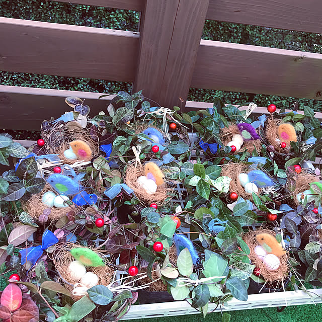 portulacaさんの実例写真