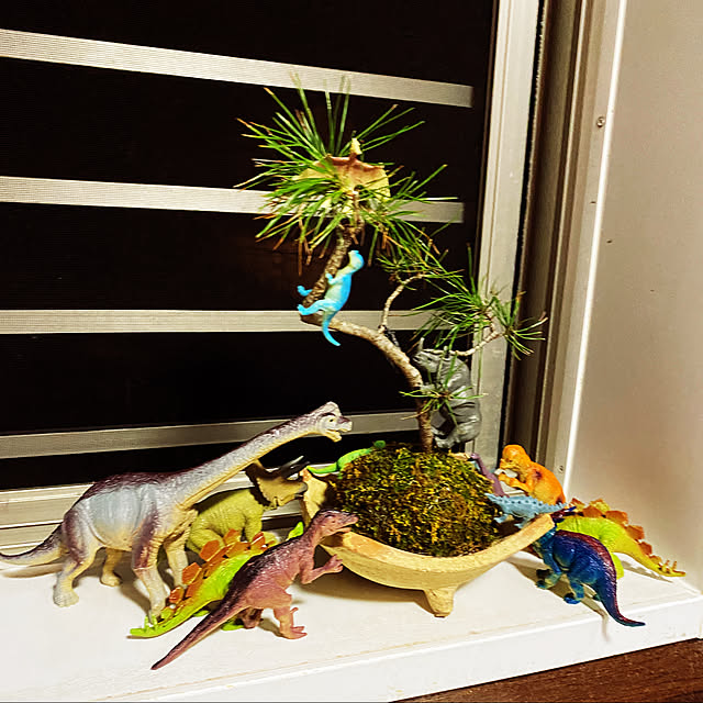 kotaroさんの実例写真