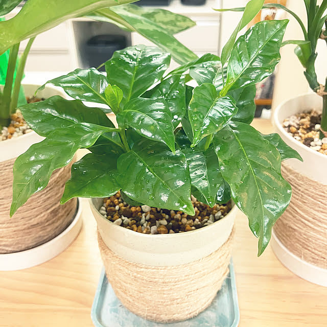 keep_patienceさんの部屋