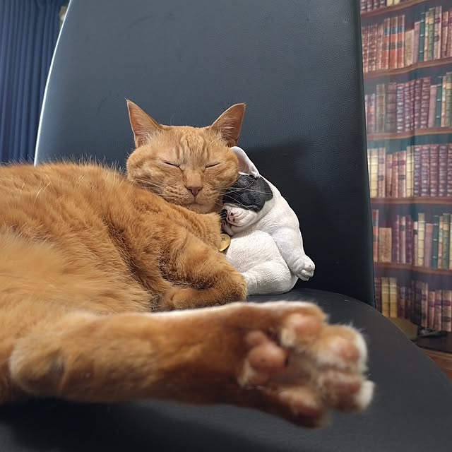 NOAHさんの部屋