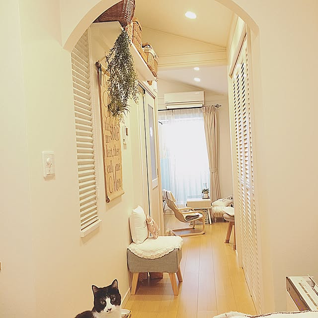 lovecatさんの実例写真
