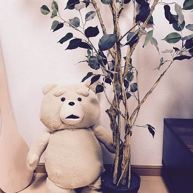 cana.sさんの実例写真