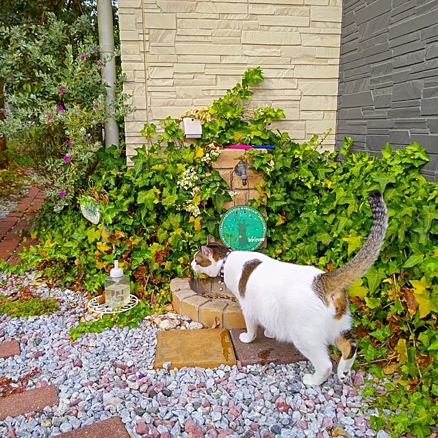 eriponさんの実例写真