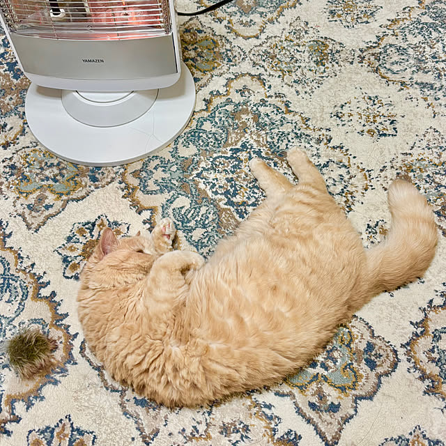 naokoさんの部屋