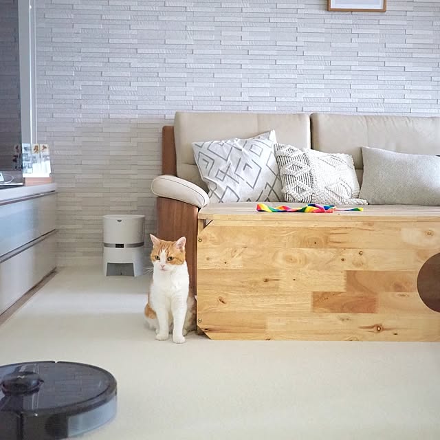 tomatoさんの部屋
