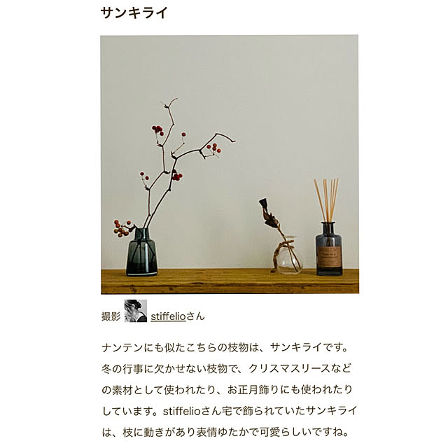 stiffelioさんの実例写真