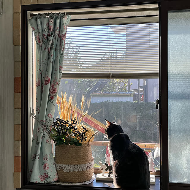 momocchiさんの実例写真