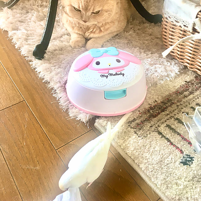 naokoさんの実例写真