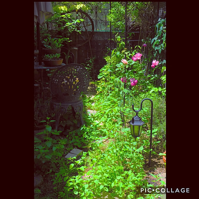 aromameさんの実例写真