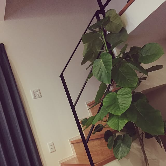 Kotawasaさんの実例写真