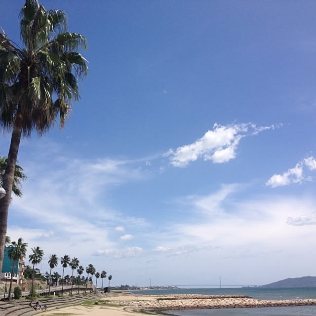 Kaoruさんの実例写真