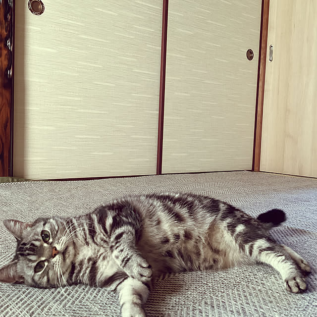 richanさんの部屋