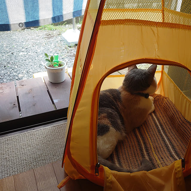 fukuさんの実例写真