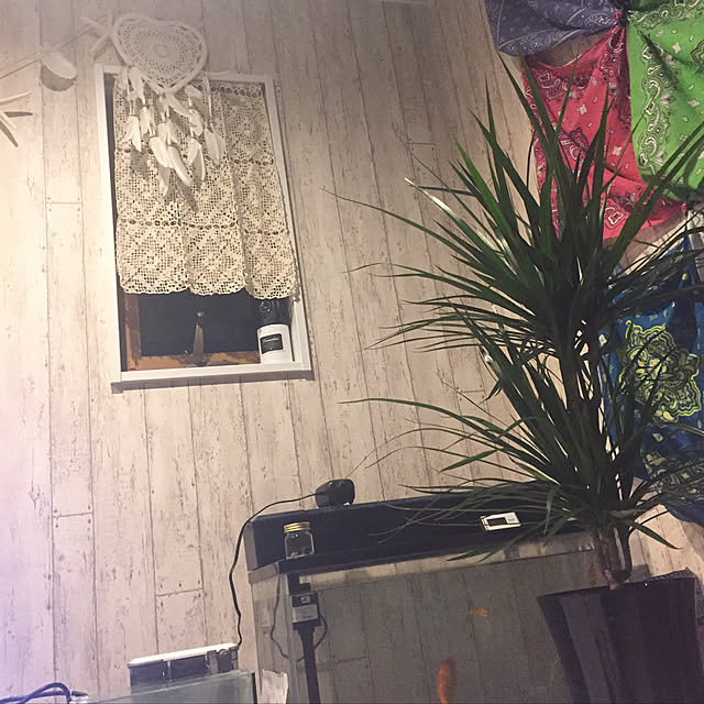 arisakuさんの実例写真
