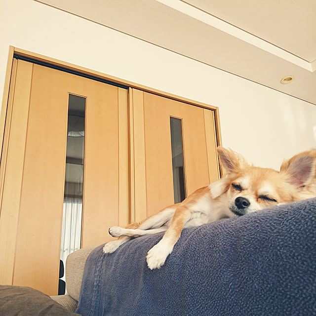 nattimomoさんの実例写真