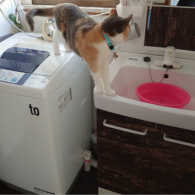 fukuさんの実例写真