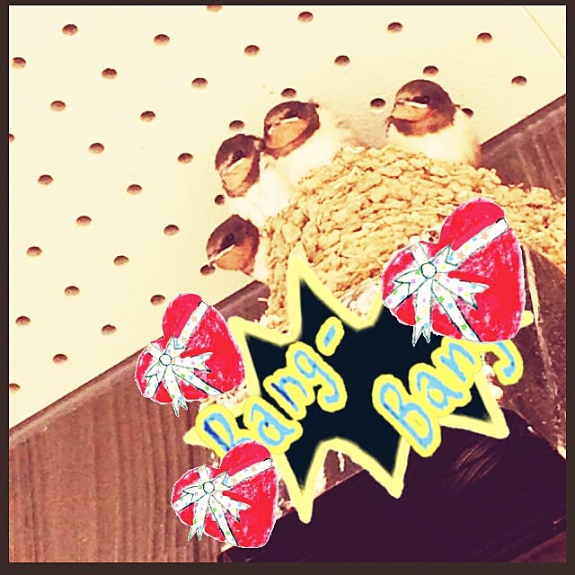 arisさんの実例写真