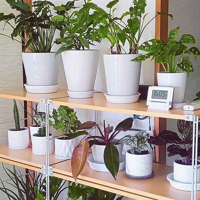 hanachanさんの部屋