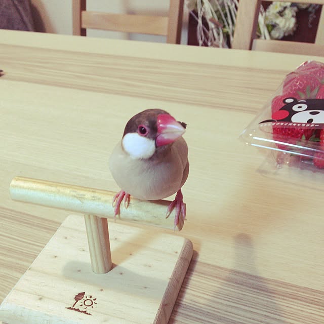 cps___mさんの実例写真