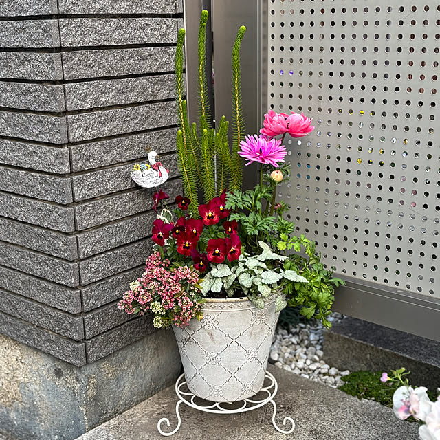 maayaさんの部屋