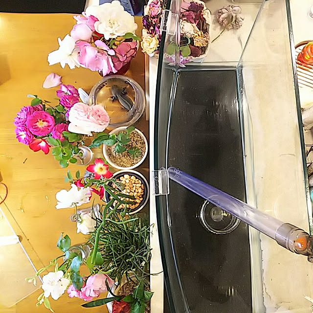 hiromimiさんの実例写真