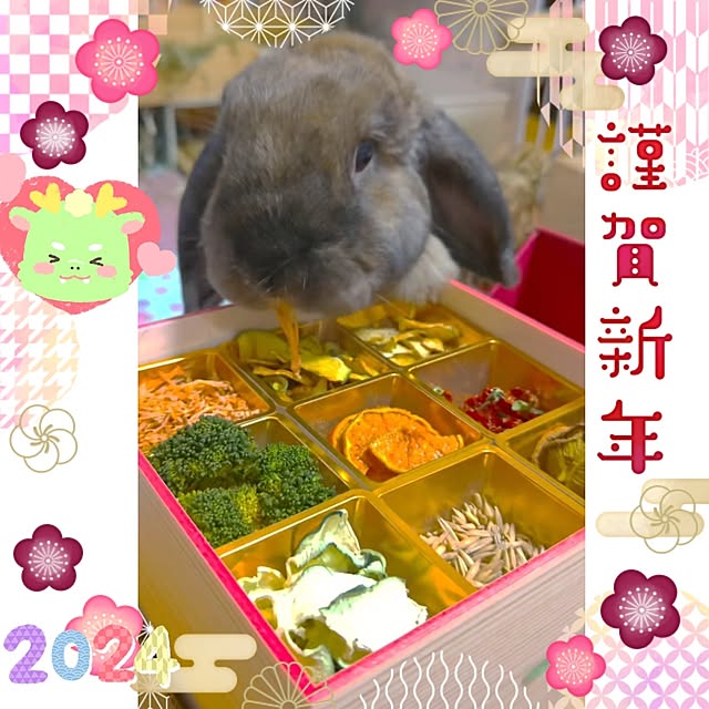 mariaさんの実例写真