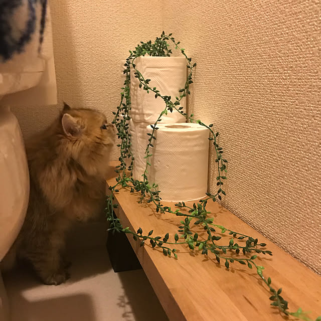 ichonさんの実例写真