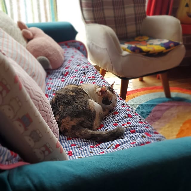 kumutanさんの部屋
