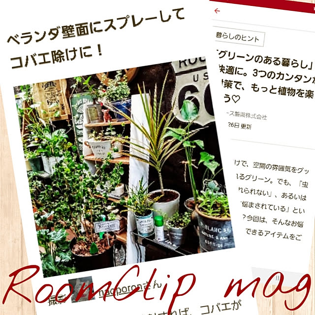 naoporonさんの実例写真