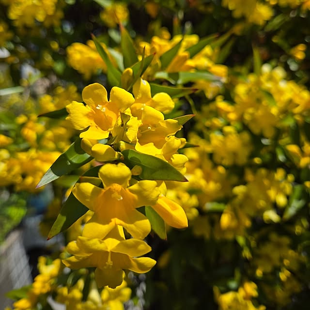 min_nimさんの部屋