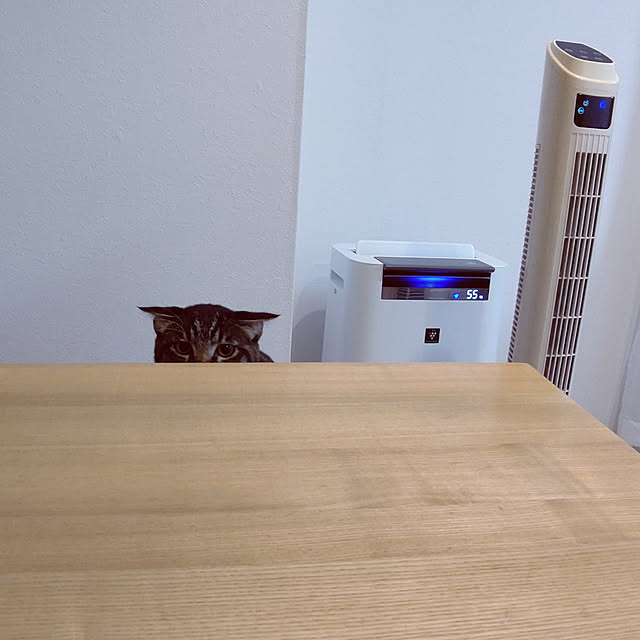 hihaさんの実例写真