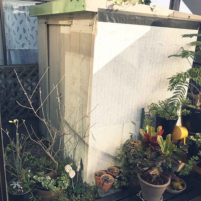 araimama-01170520さんの実例写真